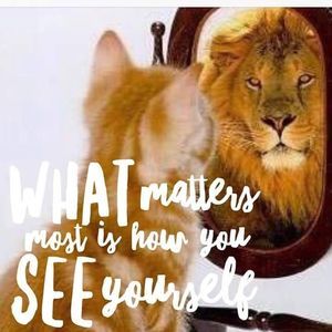 Meet your Posher, Martha